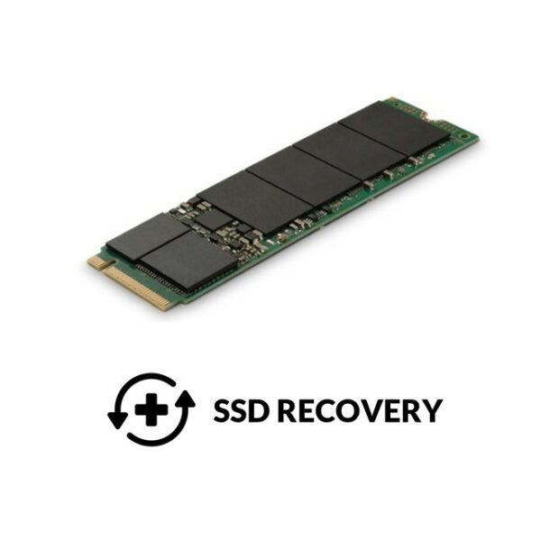 Data Recovery NVME 250 - 256 GB